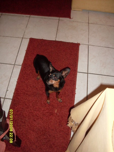 2008-01-07 22:08:56