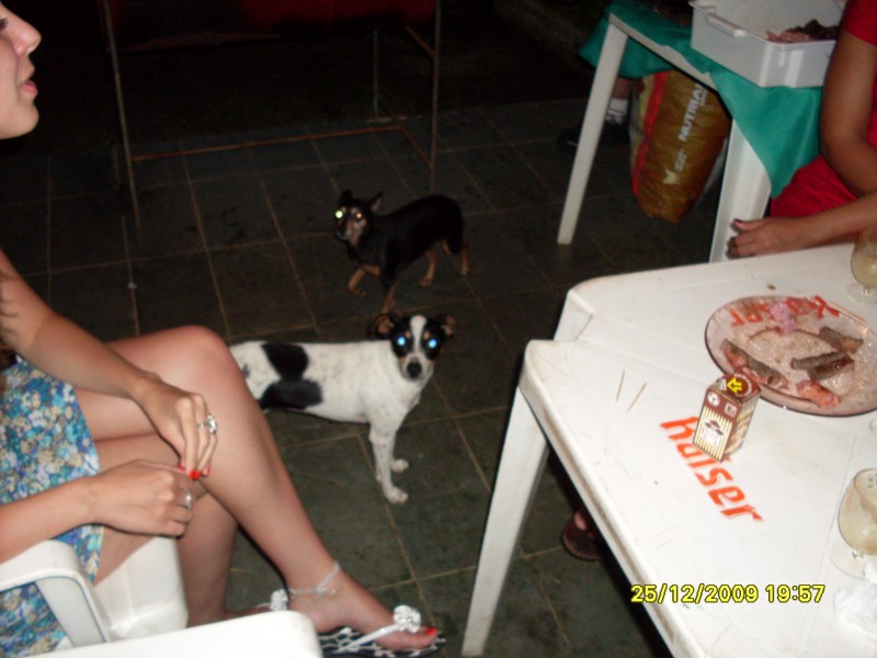 2009-12-25 19:57:39