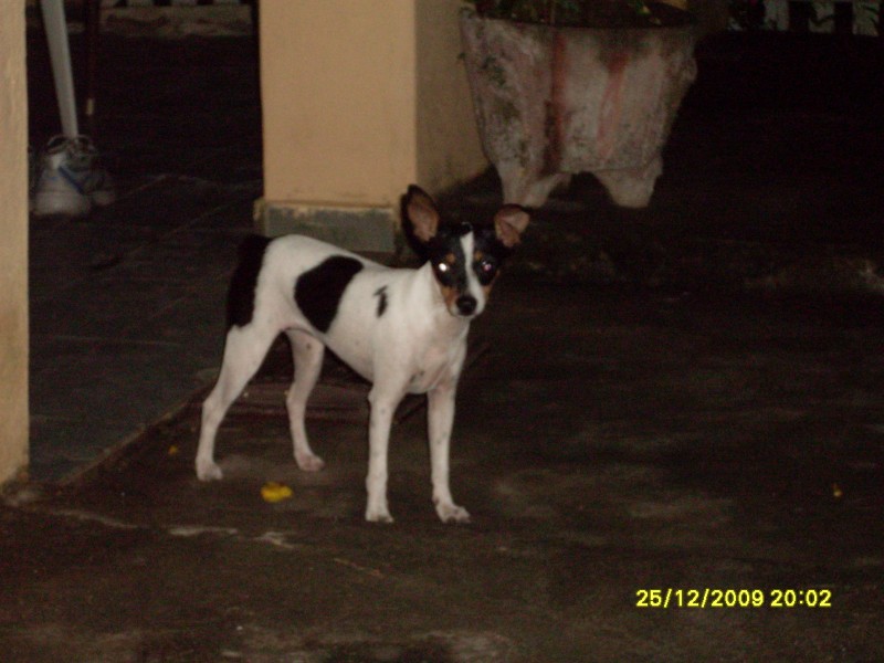 2009-12-25 20:03:01