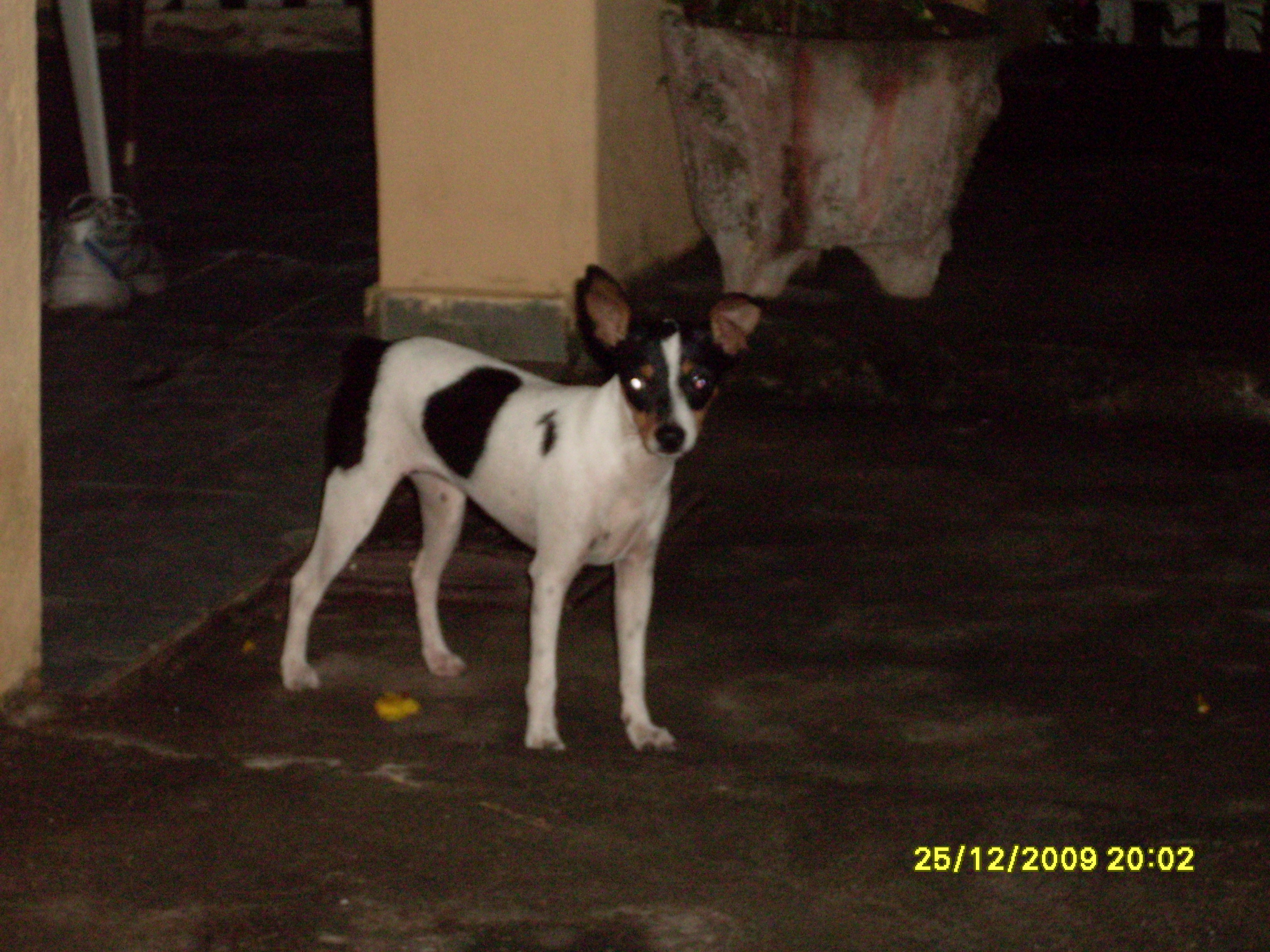 2009-12-25 20:03:01