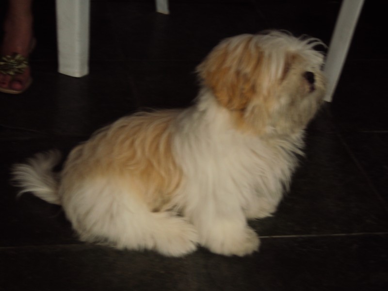 2009-12-25 17:56:30