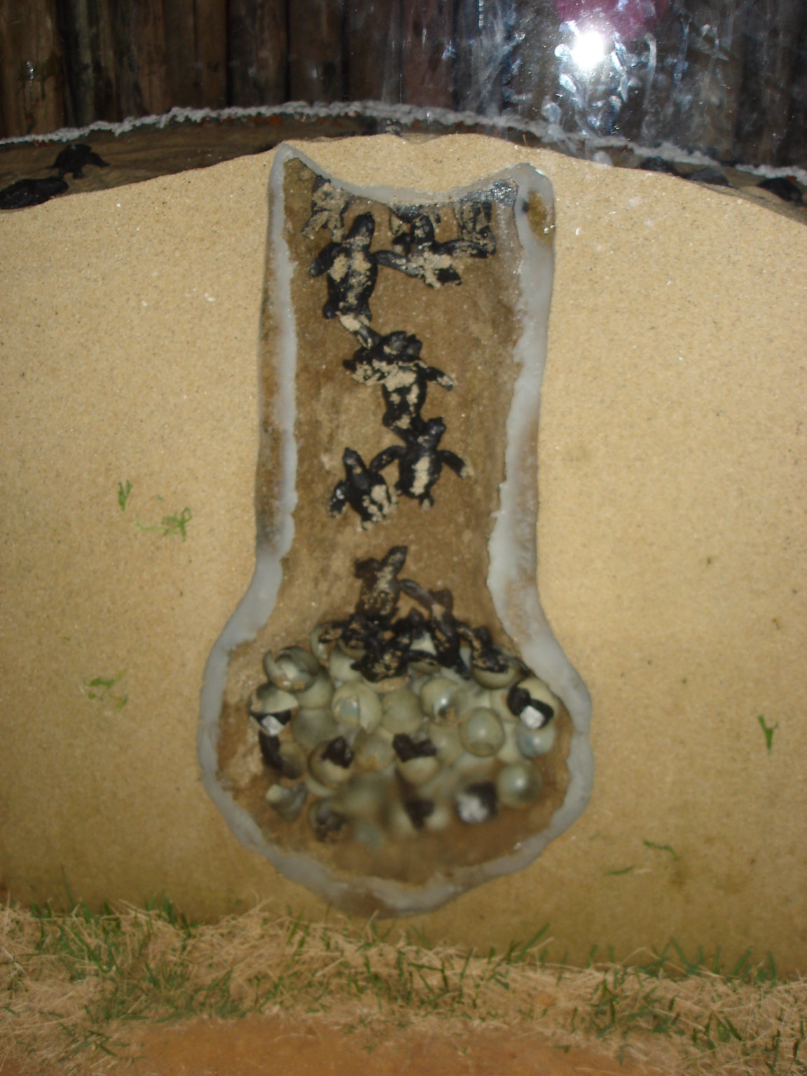 2007-01-11 19:26:31