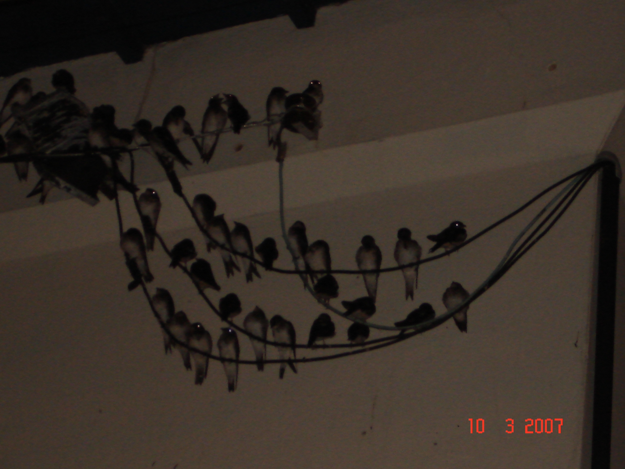 2007-03-10 22:13:08