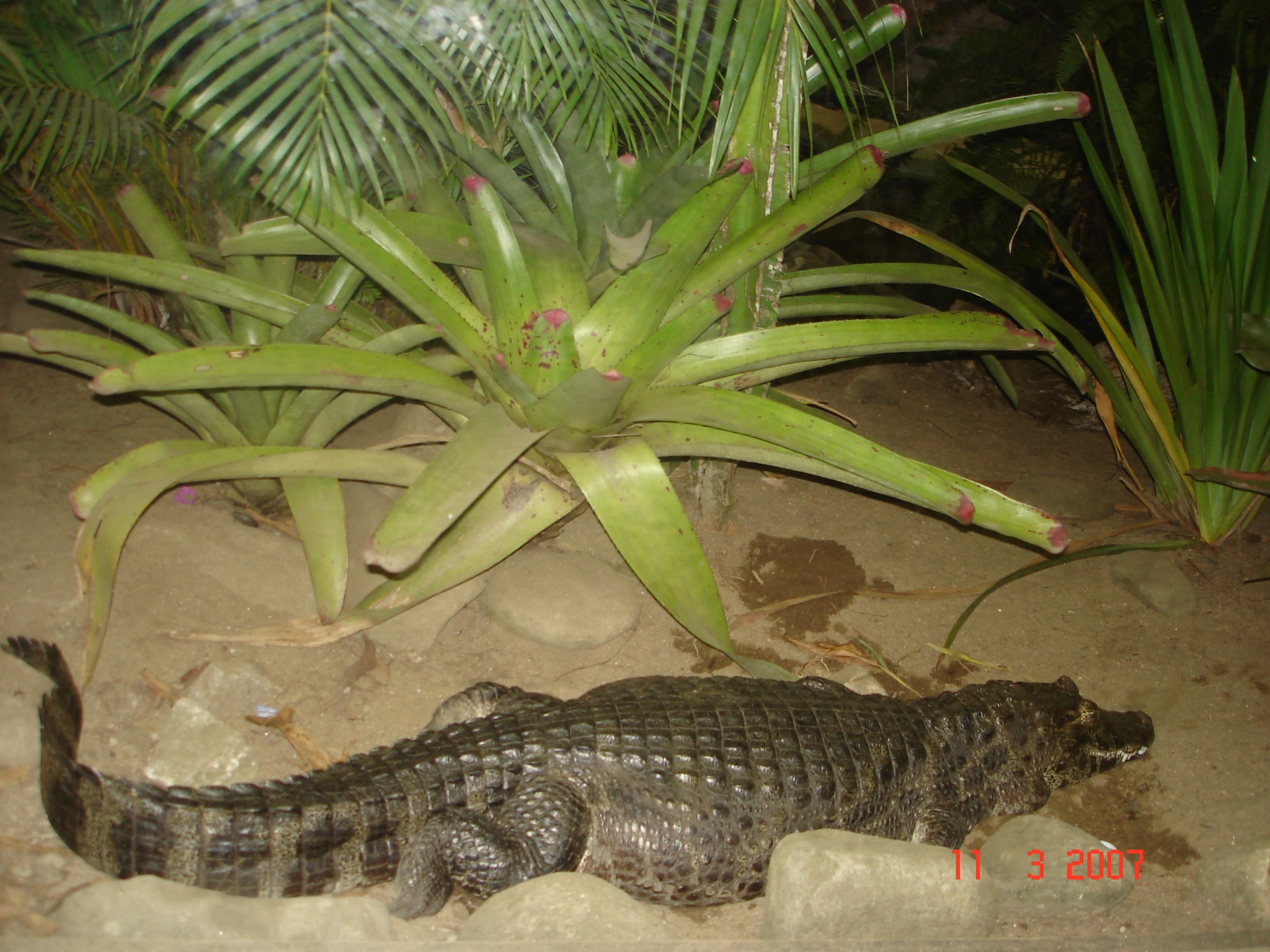 2007-03-11 20:20:25