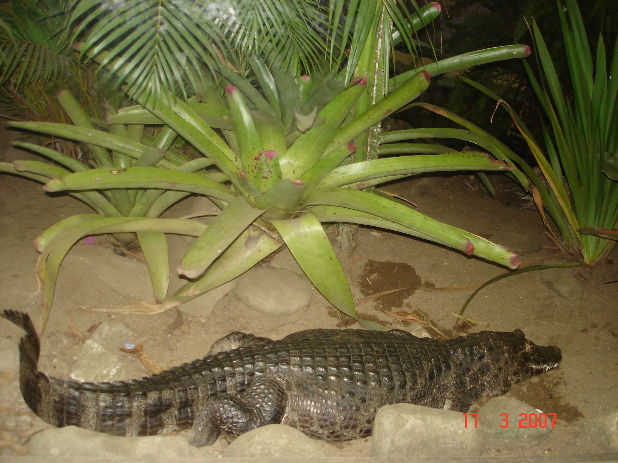 2007-03-11 20:20:25