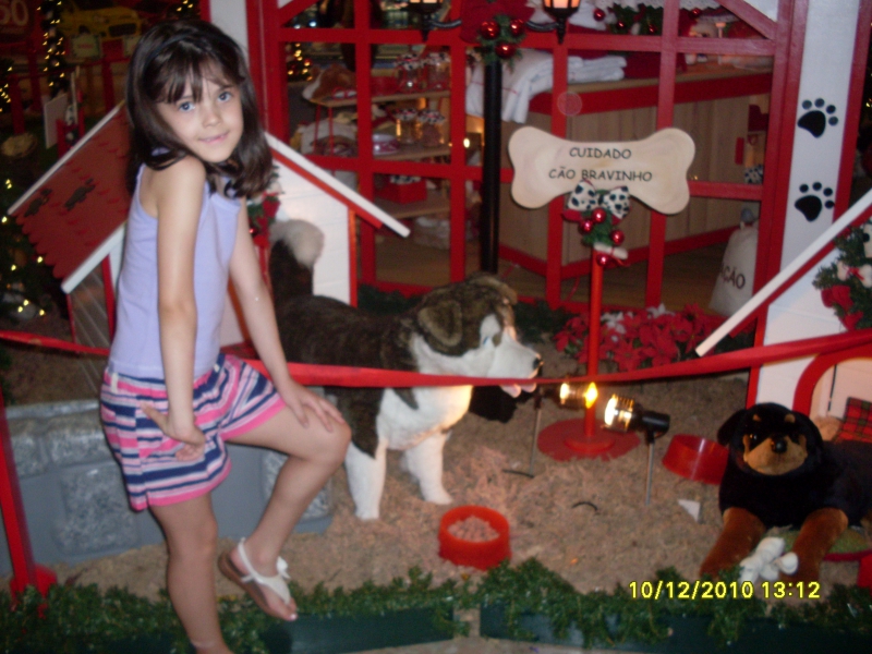 2010-12-10 13:12:17