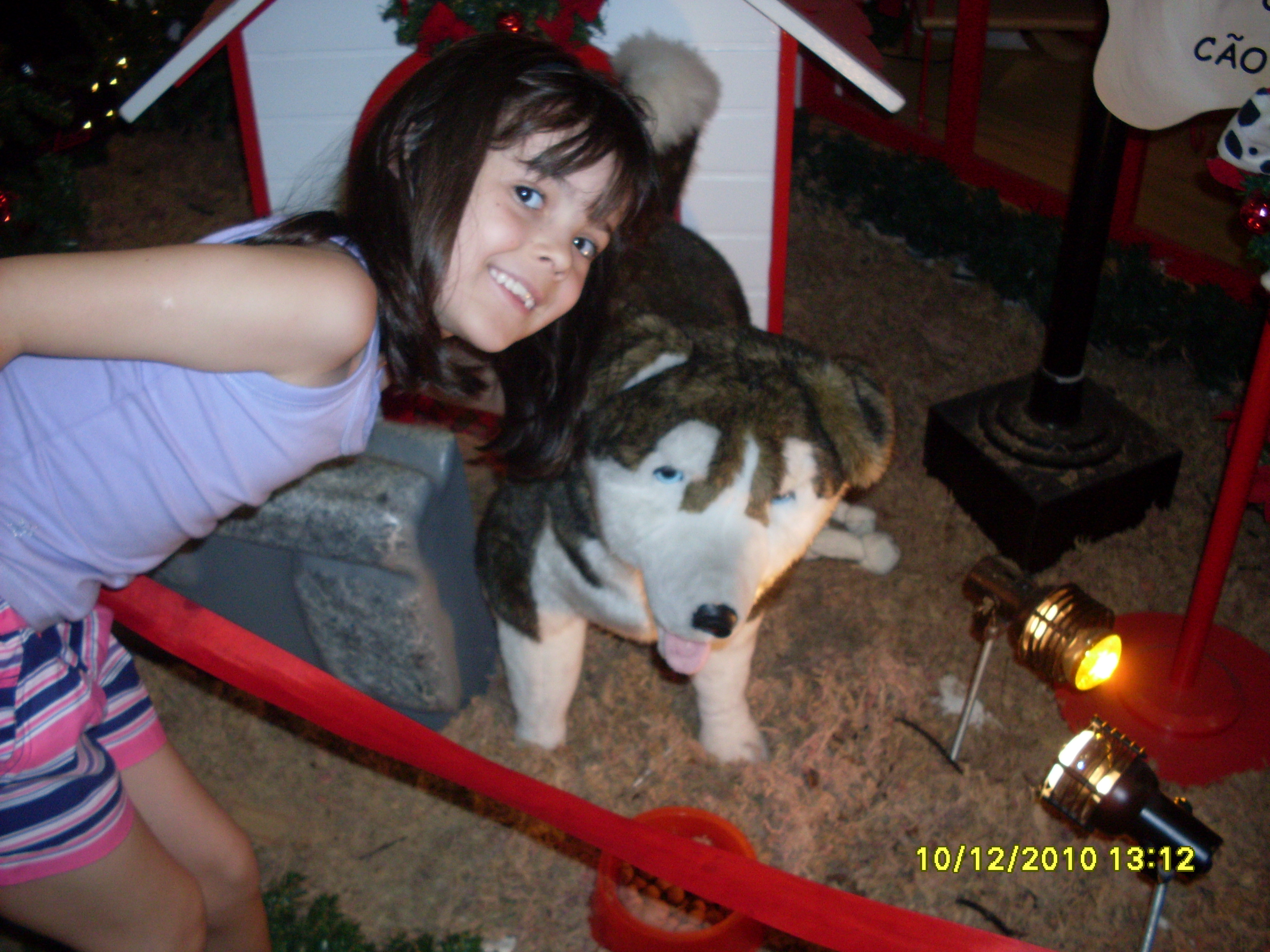 2010-12-10 13:12:35