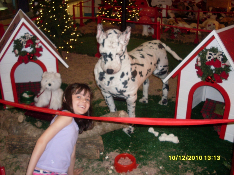 2010-12-10 13:13:22