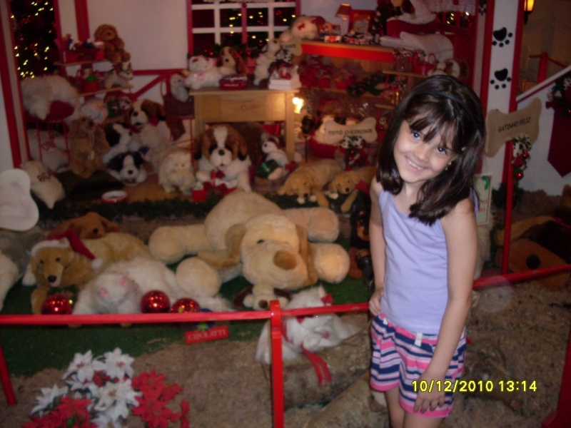 2010-12-10 13:14:41