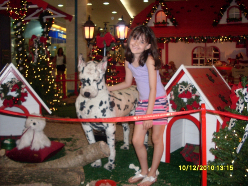 2010-12-10 13:15:39