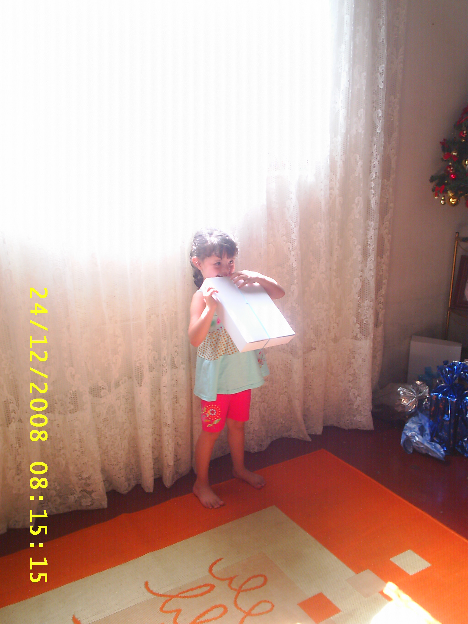 2008-12-24 08:15:19