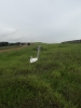 2012-01-11 17:37:41