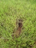 2012-01-11 17:40:23