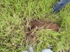2012-01-11 17:40:35