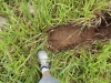 2012-01-11 17:41:01