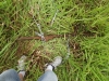 2012-01-11 17:41:15