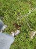 2012-01-11 17:42:35