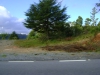 2011-04-16 17:18:18