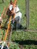 2010-02-07 11:10:37