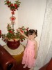 2005-12-24 19:25:31