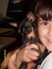 2009-03-23 00:42:28