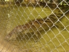 2005-11-27 13:52:48
