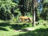 2005-11-27 14:32:53