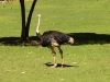 2005-11-27 14:48:54