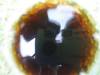 2005-02-26 14:25:34