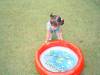 2005-02-26 14:41:12