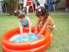2005-02-26 14:50:35