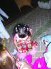 2008-12-23 14:17:40