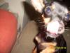 2009-03-23 00:43:07