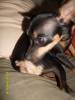 2009-03-23 00:43:33