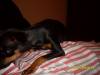 2009-03-22 20:42:51