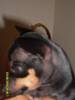 2009-03-22 20:45:38