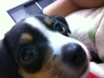 2011-06-24 09:44:29
