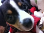 2011-06-24 09:44:35
