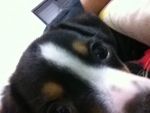 2011-06-24 09:45:03