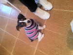 2011-07-30 16:48:42