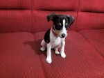 2011-07-31 17:46:59