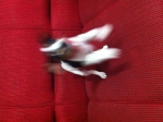 2011-07-31 17:47:41