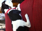2011-08-07 16:58:01