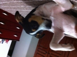 2011-09-19 19:15:36
