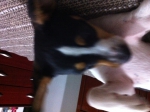2011-09-19 19:15:52