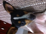 2011-09-19 19:15:56