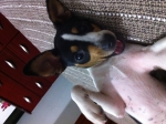 2011-09-19 19:16:04