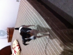 2011-09-19 19:31:08