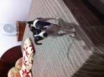 2011-09-19 19:31:12