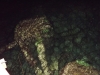 2000-01-01 03:47:06